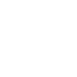 Pistol